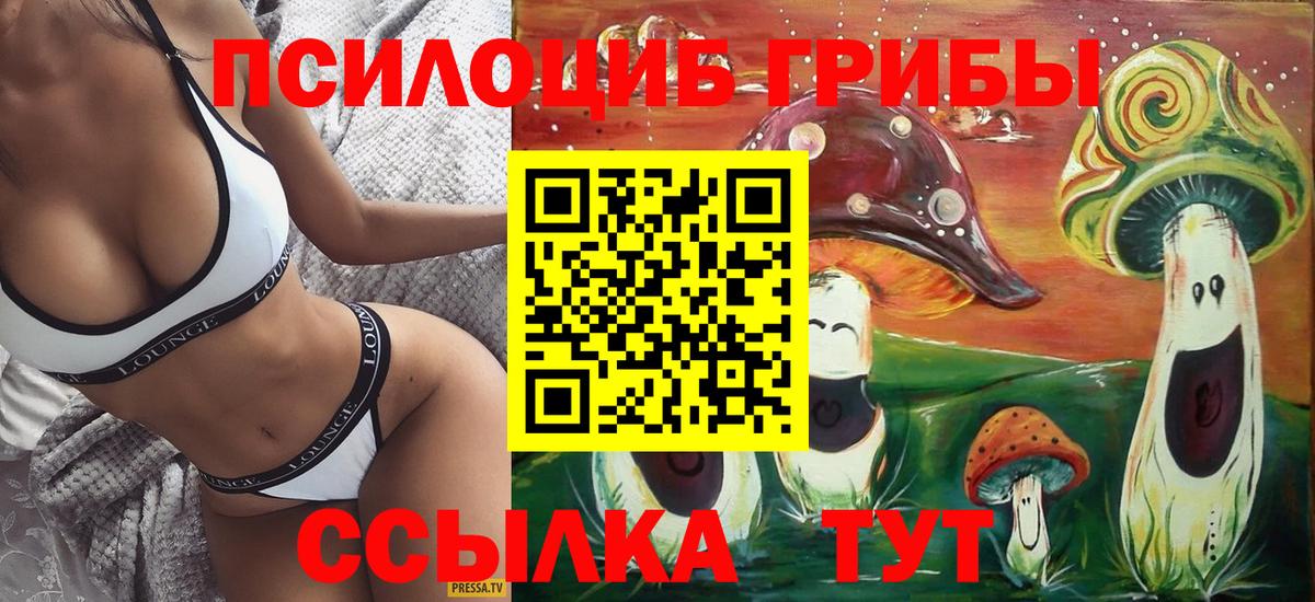 Псилоцибиновые грибы Cubensis  Вход с VPN  Галлюциногенные грибы GOLDEN TEACHER  Архангельск 