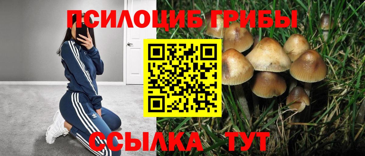 Галлюциногенные грибы ЛСД Архангельск